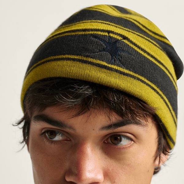 Vans - Skate Blurry Stripe Beanie