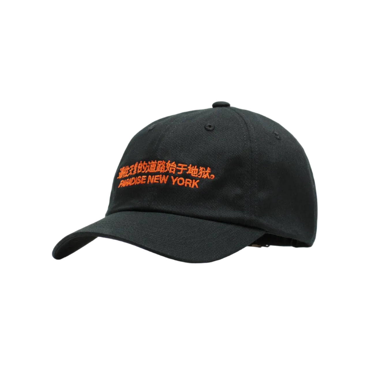 Paradise - The Path Dad Hat