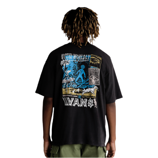 Vans - Encounter